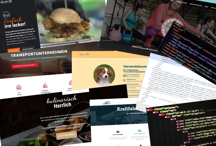 BERZONI Websites